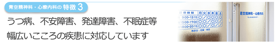 うつ病、不安障害、発達障害、不眠症等幅広いこころの疾患に対応しています